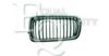 EQUAL QUALITY G0642 Radiator Grille